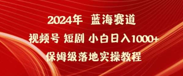 2024年视频号短剧新玩法小白日入1000+保姆级落地实操教程【揭秘】-赛德副业库