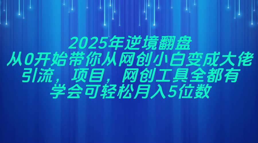 （14473期）2025年逆境翻盘，从0开始带你从网创小白变成大佬，引流，项目，网创工...-赛德副业库