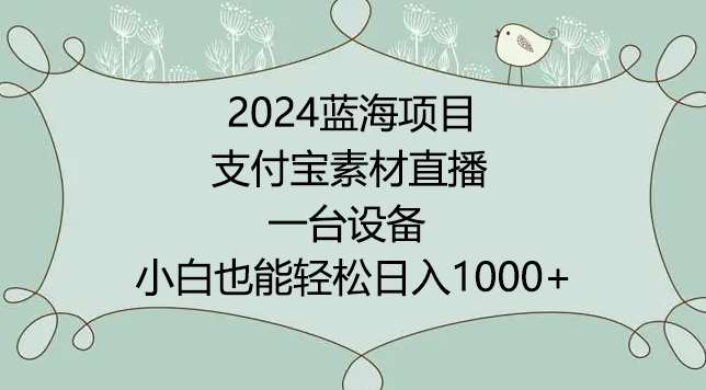 2024年蓝海项目，支付宝素材直播，无需出境，小白也能日入1000+ ，实操教程【揭秘】-赛德副业库