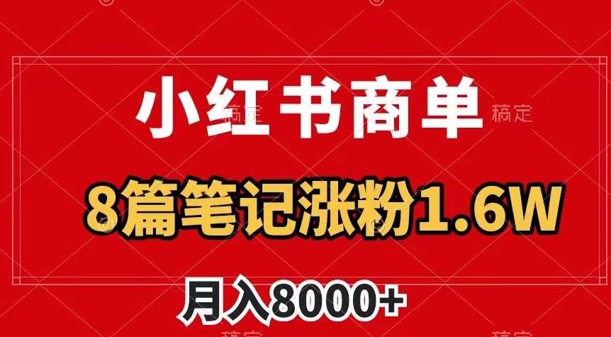 小红书商单最新玩法，8篇笔记涨粉1.6w，作品制作简单，月入8000+【揭秘】-赛德副业库