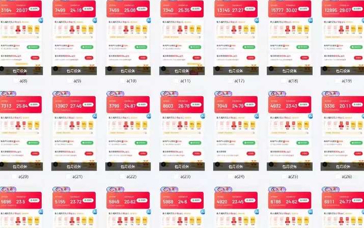 图片[2]-25年最新项目批量操作，小白也能轻松月入过W，可无限放大【揭秘】-赛德副业库