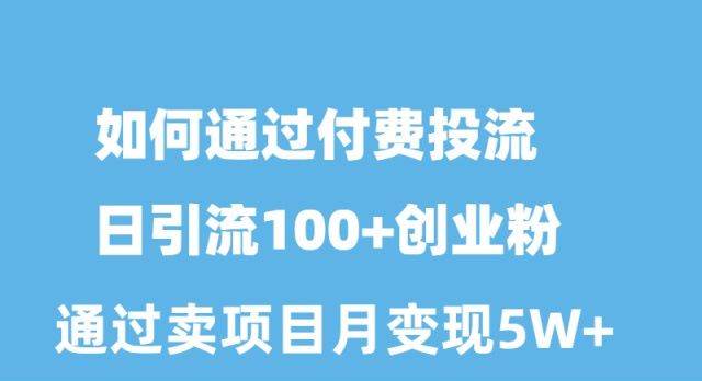 （10189期）如何通过付费投流日引流100+创业粉月变现5W+-赛德副业库