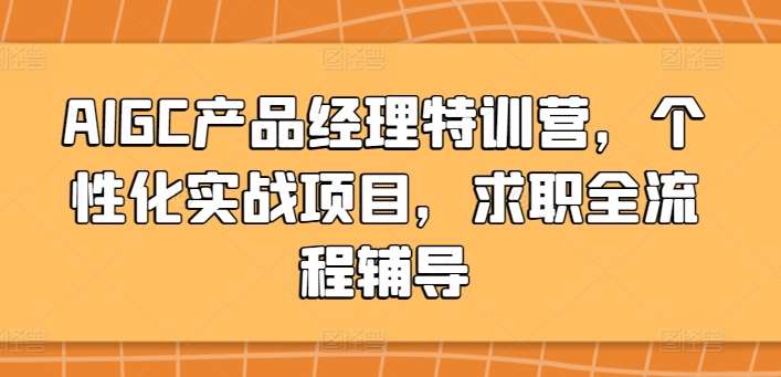 AIGC产品经理特训营，个性化实战项目，求职全流程辅导-赛德副业库