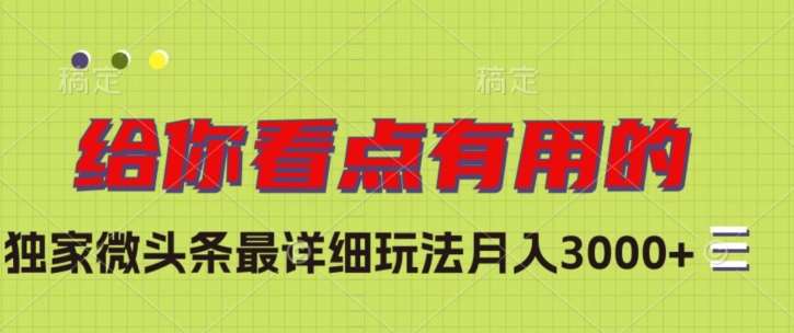 独家微头条最详细玩法，月入3000+【揭秘】-赛德副业库