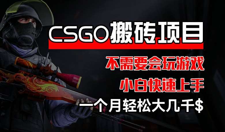 CSGO 装备搬砖项目，操作简单，不需要会玩游戏，小白也能快速上手，一个月轻松大几千【揭秘】-赛德副业库