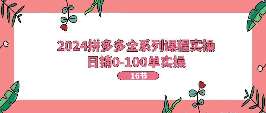 （11222期）2024拼多多全系列课程实操，日销0-100单实操【16节课】-赛德副业库