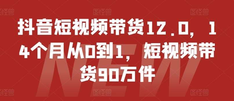 抖音短视频带货12.0，14个月从0到1，短视频带货90万件-赛德副业库