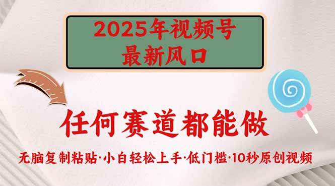 （14453期）2025年视频号新风口，低门槛只需要无脑执行-赛德副业库