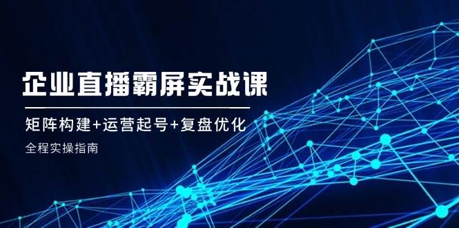 企业直播霸屏实战课：矩阵构建+运营起号+复盘优化，全程实操指南-赛德副业库