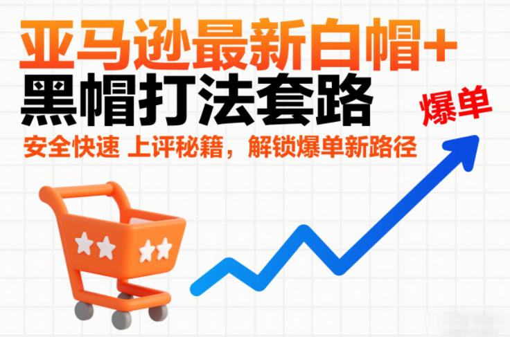 亚马逊最新白帽+黑帽打法套路，安全快速上评秘籍，解锁爆单新路径-赛德副业库