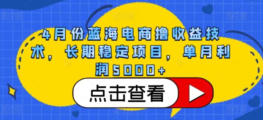 4月份蓝海电商撸收益技术，长期稳定项目，单月利润5000+【揭秘】-赛德副业库