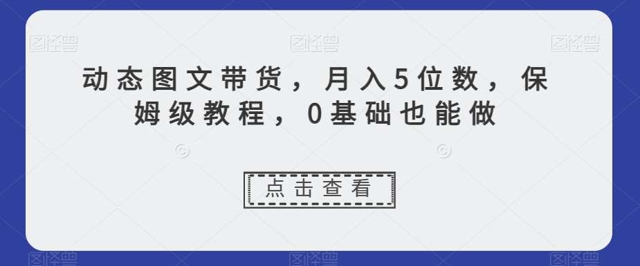 动态图文带货,月入5位数,保姆级教程,0基础也能做【揭秘】-赛德副业库
