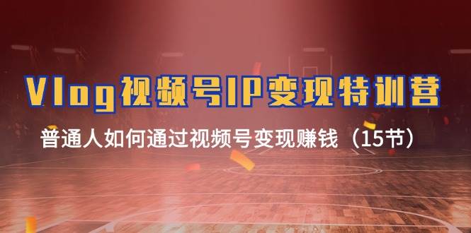 （11654期）Vlog 视频号IP变现特训营，普通人如何通过视频号变现赚钱（15节）-赛德副业库