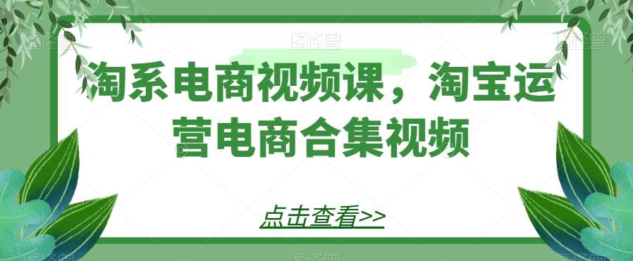 淘系电商视频课，淘宝运营电商合集视频-赛德副业库