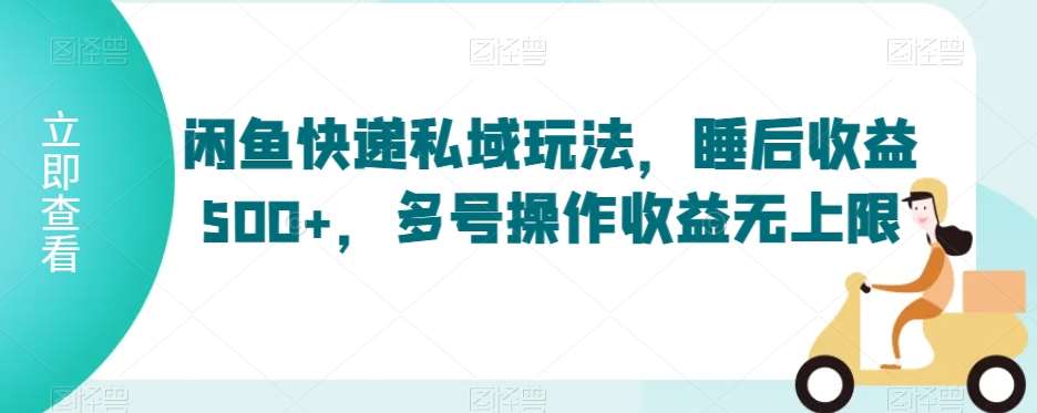 闲鱼快递私域玩法，睡后收益500+，多号操作收益无上限【揭秘】-赛德副业库