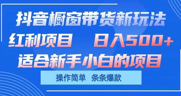 抖音橱窗带货新玩法，单日收益几张，操作简单，条条爆款【揭秘】-赛德副业库
