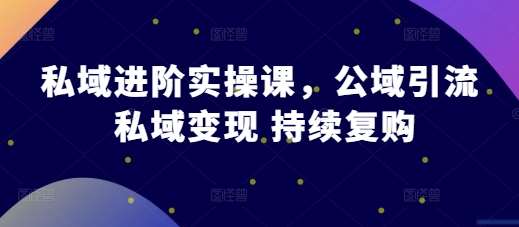 私域进阶实操课，公域引流 私域变现 持续复购-赛德副业库