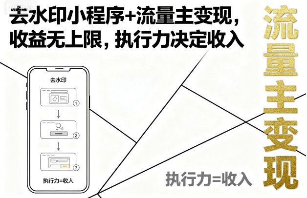 去水印小程序+流量主变现,收益无上限,执行力决定收入-赛德副业库