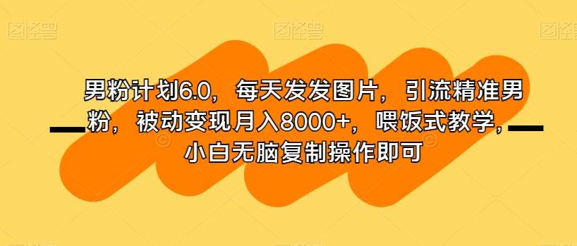 男粉计划6.0，每天发发图片，引流精准男粉，被动变现月入8000+，喂饭式教学，小白无脑复制操作即可-赛德副业库