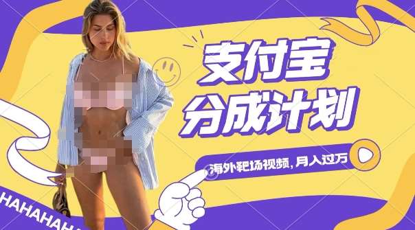 利用海外靶场射击视频，挣支付宝分成收益，轻松月入过W【揭秘】-赛德副业库