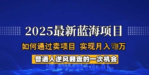 2025蓝海项目，普通人如何通过卖项目，实现月入过W，全过程【揭秘】-赛德副业库