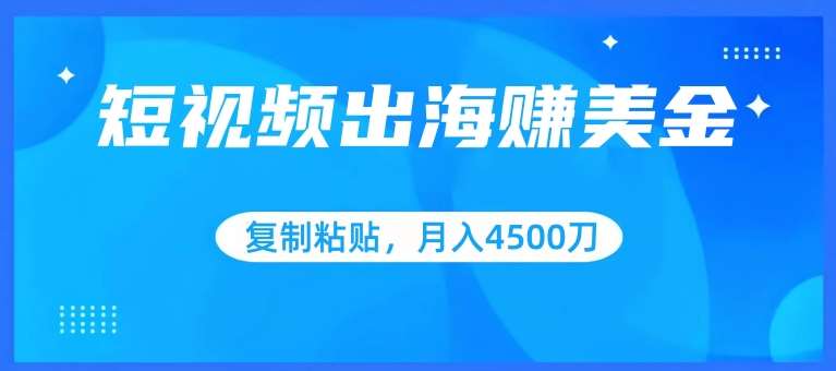 短视频出海赚美金，复制粘贴批量操作，小白轻松掌握，月入4500美刀【揭秘】-赛德副业库