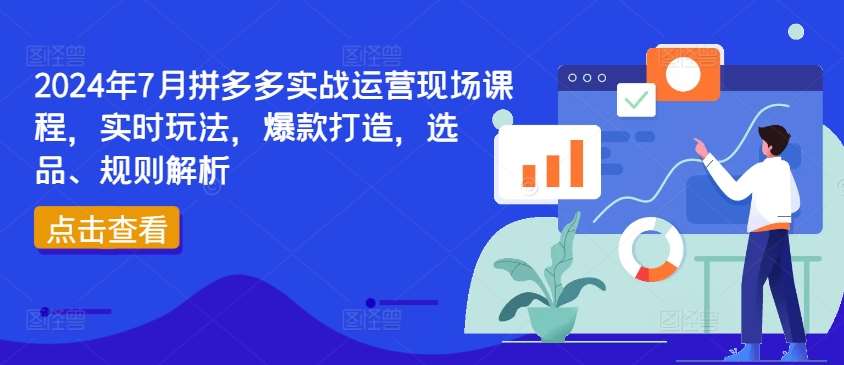 2024年7月拼多多实战运营现场课程，实时玩法，爆款打造，选品、规则解析-赛德副业库