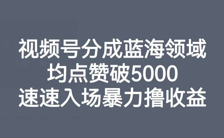 视频号分成蓝海领域,均点赞破5000,速速入场暴力撸收益-赛德副业库