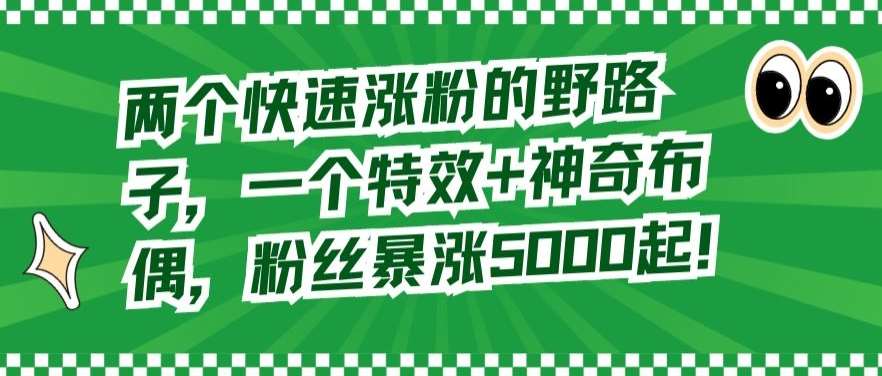 两个快速涨粉的野路子，一个特效+神奇布偶，粉丝暴涨5000起【揭秘】-赛德副业库
