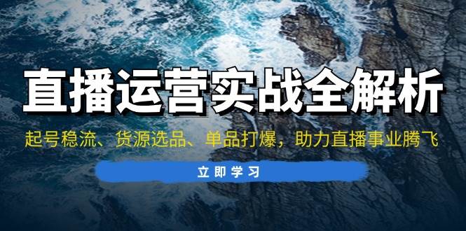 （13294期）直播运营实战全解析：起号稳流、货源选品、单品打爆，助力直播事业腾飞-赛德副业库