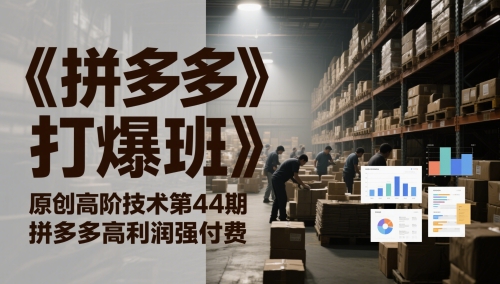 《拼多多打爆班》原创高阶技术第44期，拼多多高利润强付费-赛德副业库