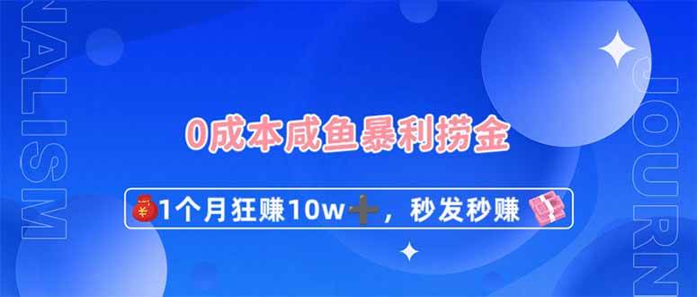 （14257期）0成本闲鱼暴利捞金，1个月狂赚10W+，秒发秒赚新玩法-赛德副业库