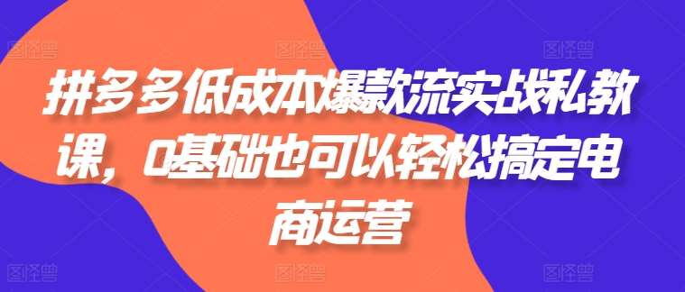 拼多多低成本爆款流实战私教课，0基础也可以轻松搞定电商运营-赛德副业库