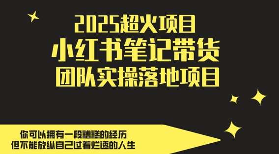 2025超火项目，副业最佳选择，小红书笔记带货团队实操落地项目，，轻松日入5张-赛德副业库