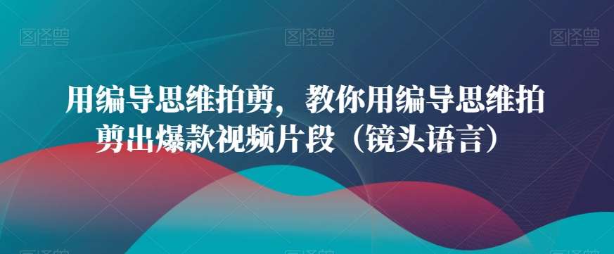 用编导思维拍剪,教你用编导思维拍剪出爆款视频片段(镜头语言)-赛德副业库
