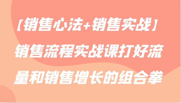 【销售心法+销售实战】销售流程实战课打好流量和销售增长的组合拳-赛德副业库