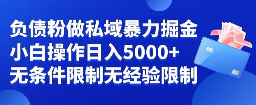 负债粉私域暴力掘金，小白操作入5000，无经验限制，无条件限制【揭秘】-赛德副业库