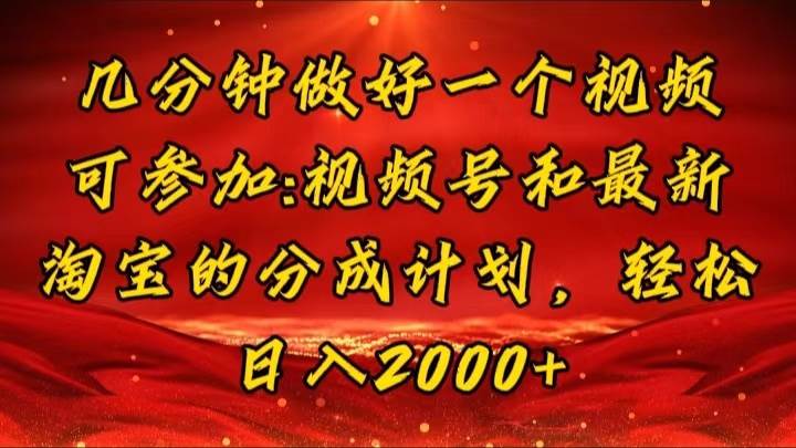 （11835期）几分钟一个视频，可在视频号，淘宝同时获取收益，新手小白轻松日入2000…-赛德副业库