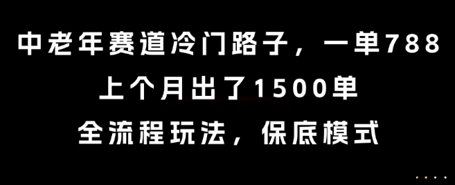 中老年赛道冷门路子,一单788,上个月出了1500单,全流程玩法,保底模式【揭秘】-赛德副业库
