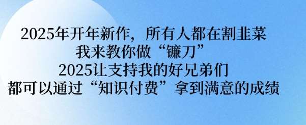 2025年开年新作,所有人都在割韭菜,我来教你做“镰刀” 2025让支持我的好兄弟们都可以通过“知识付费”拿到满意的成绩【揭秘】-赛德副业库