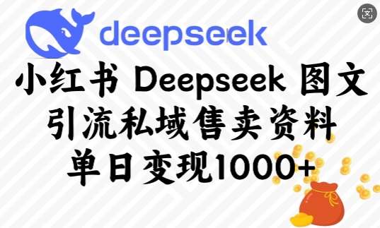 小红书Deepseek图文引流私域售卖资料，单日变现多张-赛德副业库