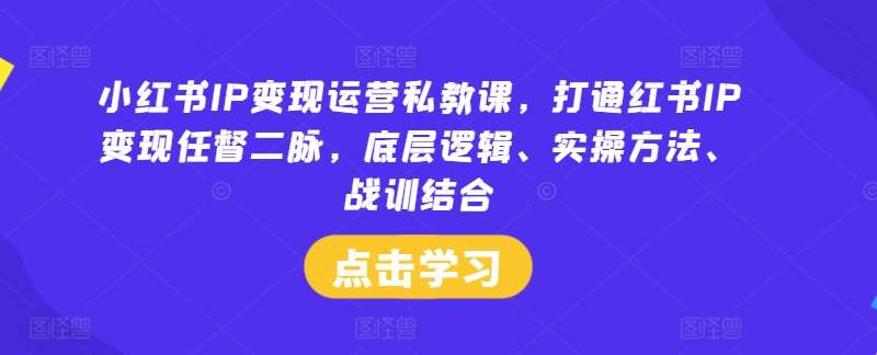 小红书IP变现运营私教课，打通红书IP变现任督二脉，底层逻辑、实操方法、战训结合-赛德副业库