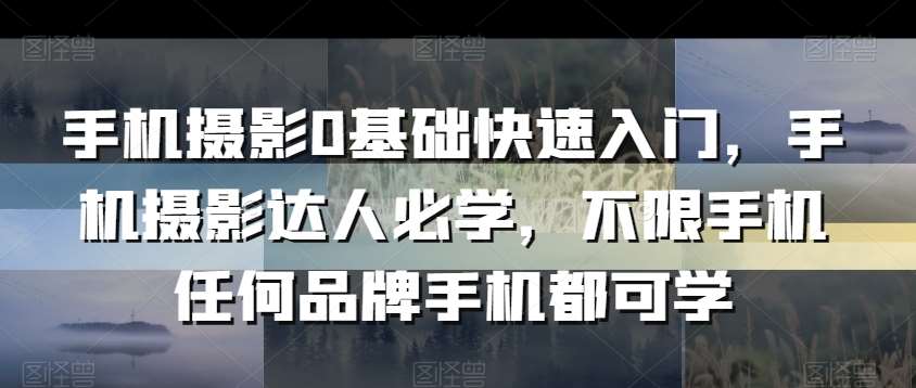手机摄影0基础快速入门，手机摄影达人必学，不限手机任何品牌手机都可学-赛德副业库
