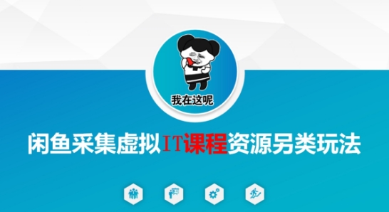 闲鱼采集虚拟IT课程资源另类玩法,干货满满-赛德副业库