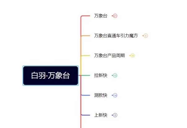 白羽·直引万搜索全篇，从0-1，多个类目实操经验总结付费-赛德副业库