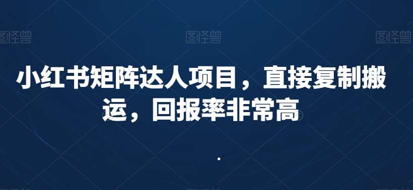 小红书矩阵达人项目，直接复制搬运，回报率非常高-赛德副业库