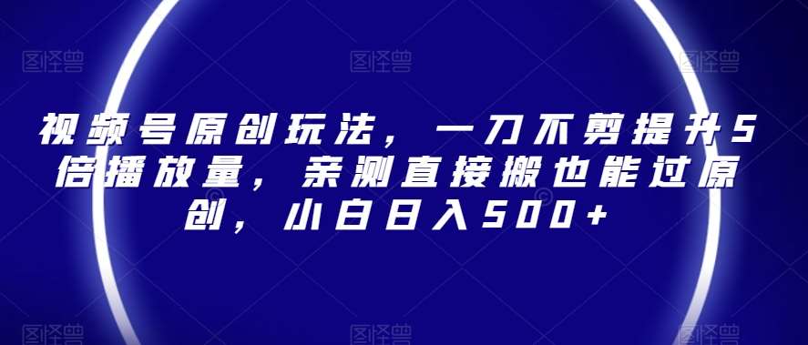 视频号原创玩法，一刀不剪提升5倍播放量，亲测直接搬也能过原创，小白日入500+【揭秘】-赛德副业库