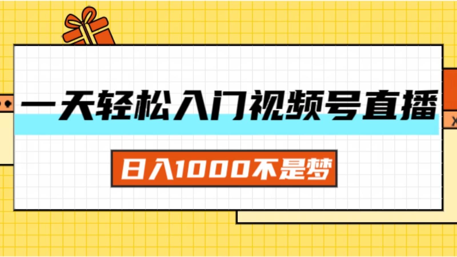 （11906期）一天入门视频号直播带货，日入1000不是梦-赛德副业库