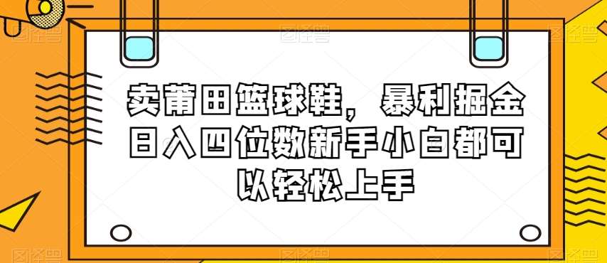 卖莆田篮球鞋，暴利掘金日入四位数新手小白都可以轻松上手【揭秘】-赛德副业库