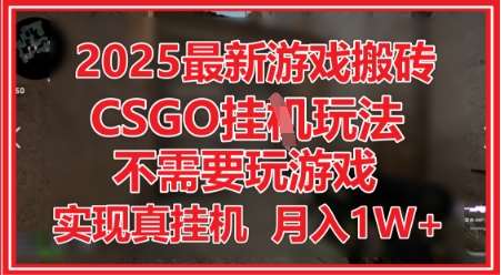 2025最新游戏搬砖,CSGO挂G,不需要玩游戏,实现真挂G,月入1W+【揭秘】-赛德副业库
